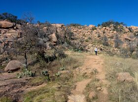 IMG_20131215_134739.jpg
