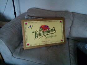 IMG_20131221_150008.jpg