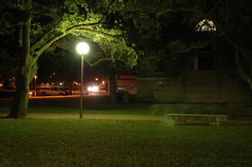 DSC_0005.jpg