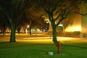 DSC_0006.jpg