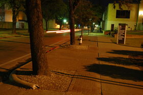 DSC_0014.jpg