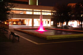 DSC_0030.jpg