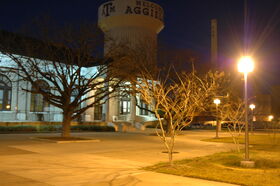 DSC_0132.jpg