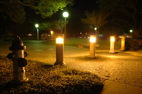 DSC_0165.jpg