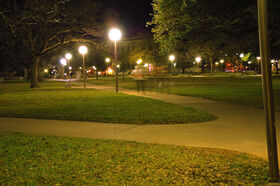 DSC_0181.jpg