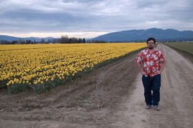 Tulip Festival (2010)