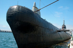 DSC_4660.jpg