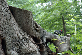 DSC_1589.jpg