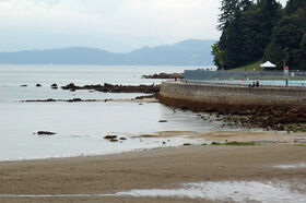 DSC_1621.jpg
