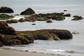 DSC_1645.jpg