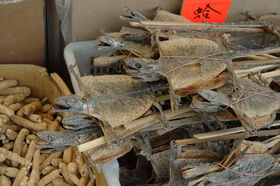 DSC_1775.jpg