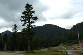 DSC_1859.jpg