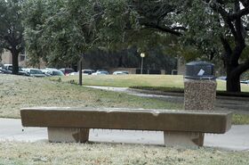 aggiewinter_22.jpg