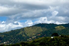 DSC_6695.jpg