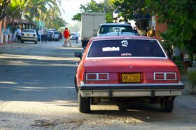 DSC_6890.jpg