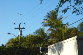 DSC_6895.jpg