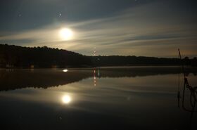 DSC_8910.jpg
