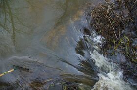 DSC_9021.jpg