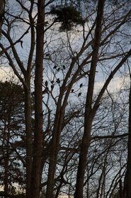 DSC_9036.jpg